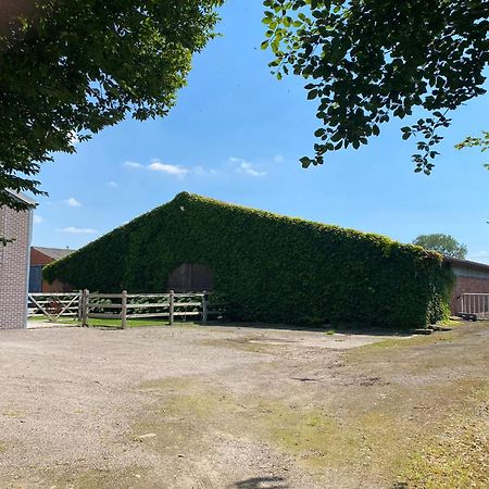 B&B De Vlierbeek Sint-Niklaas Kültér fotó