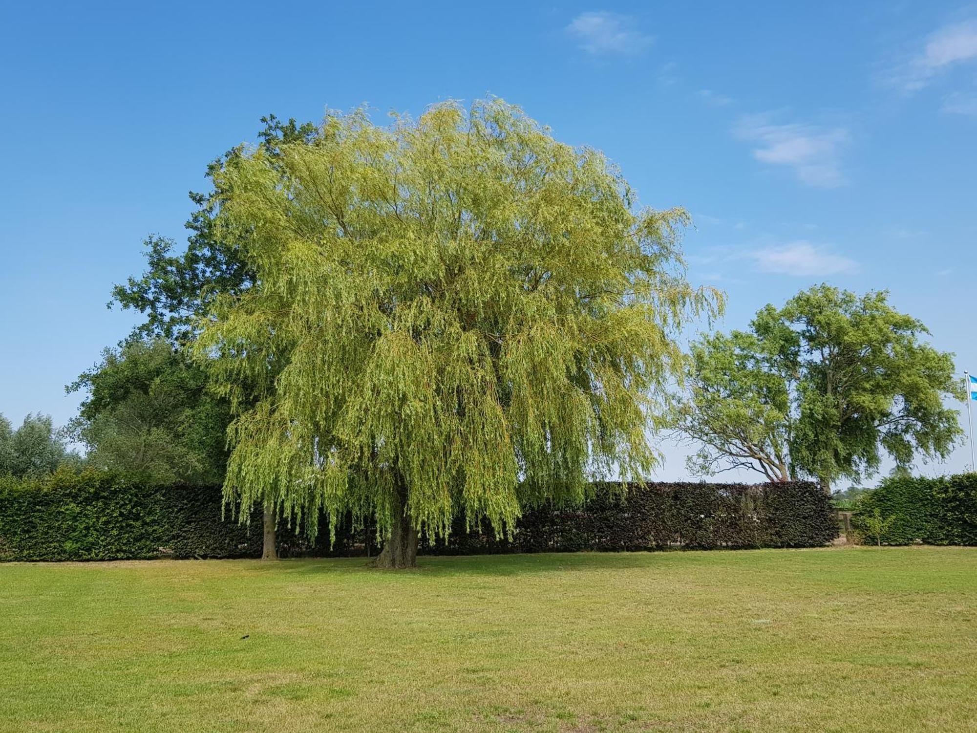 B&B De Vlierbeek Sint-Niklaas Kültér fotó